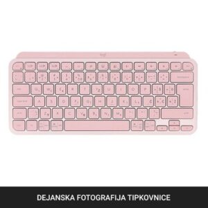 Sprejemnik Logitech Bolt
