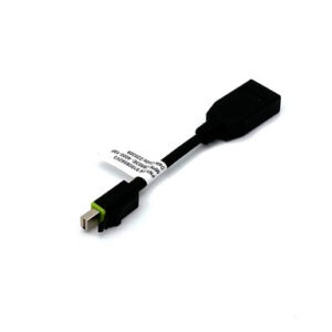 Adapter Mini DisplayPort v DisplayPort, z zaklepom, 0.1m, PNY